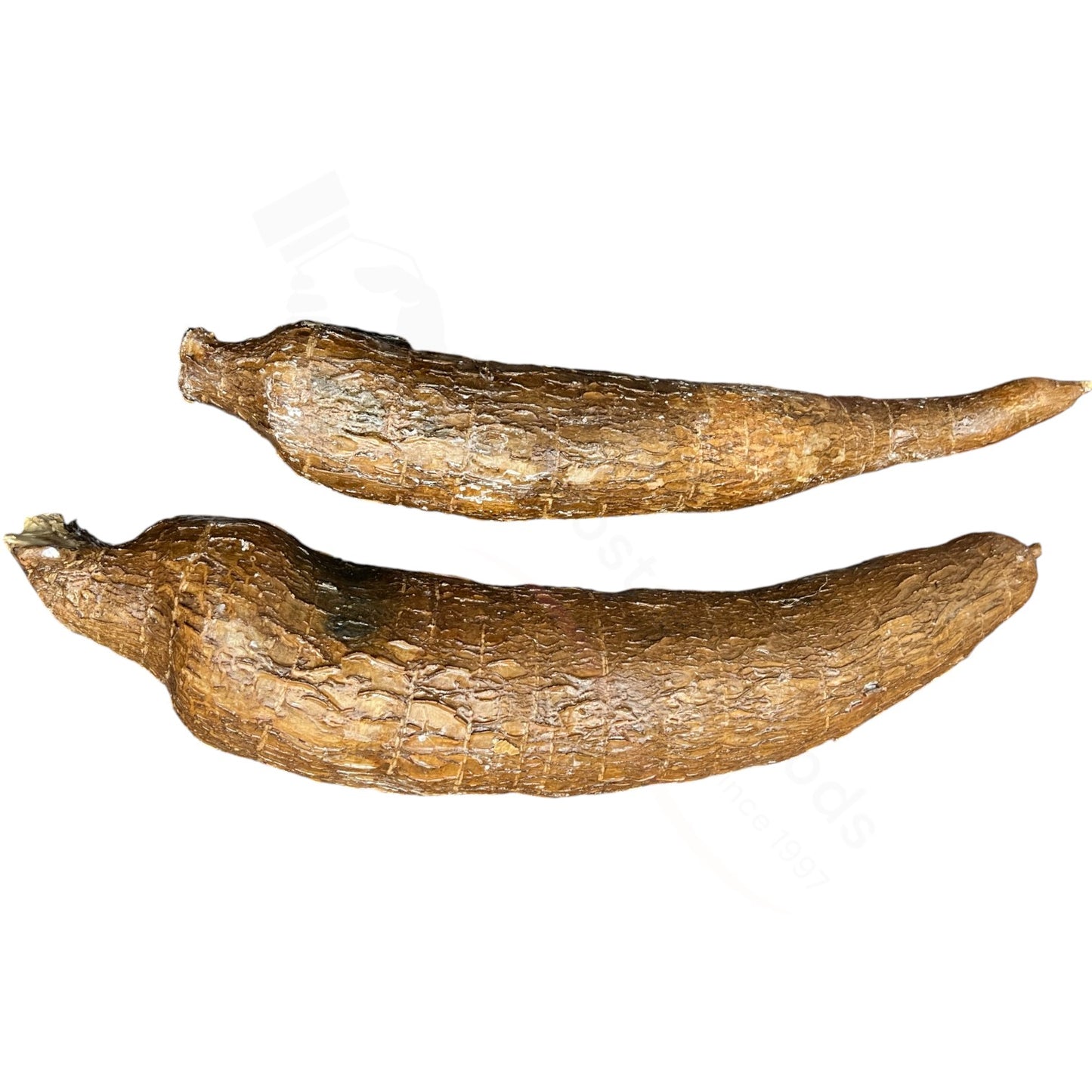 Fresh Tapioca / Kappa – Maniokwurzel