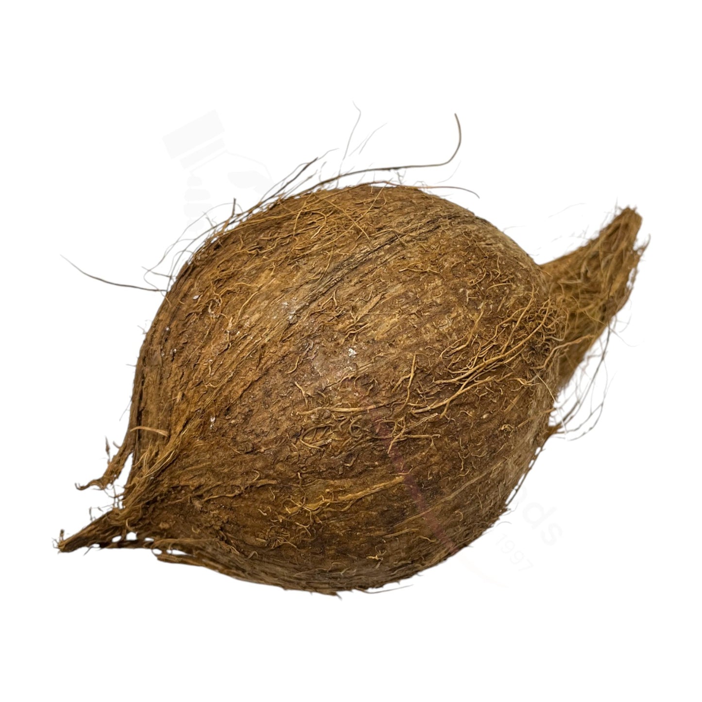 Fresh Nariyal – Kokosnuss