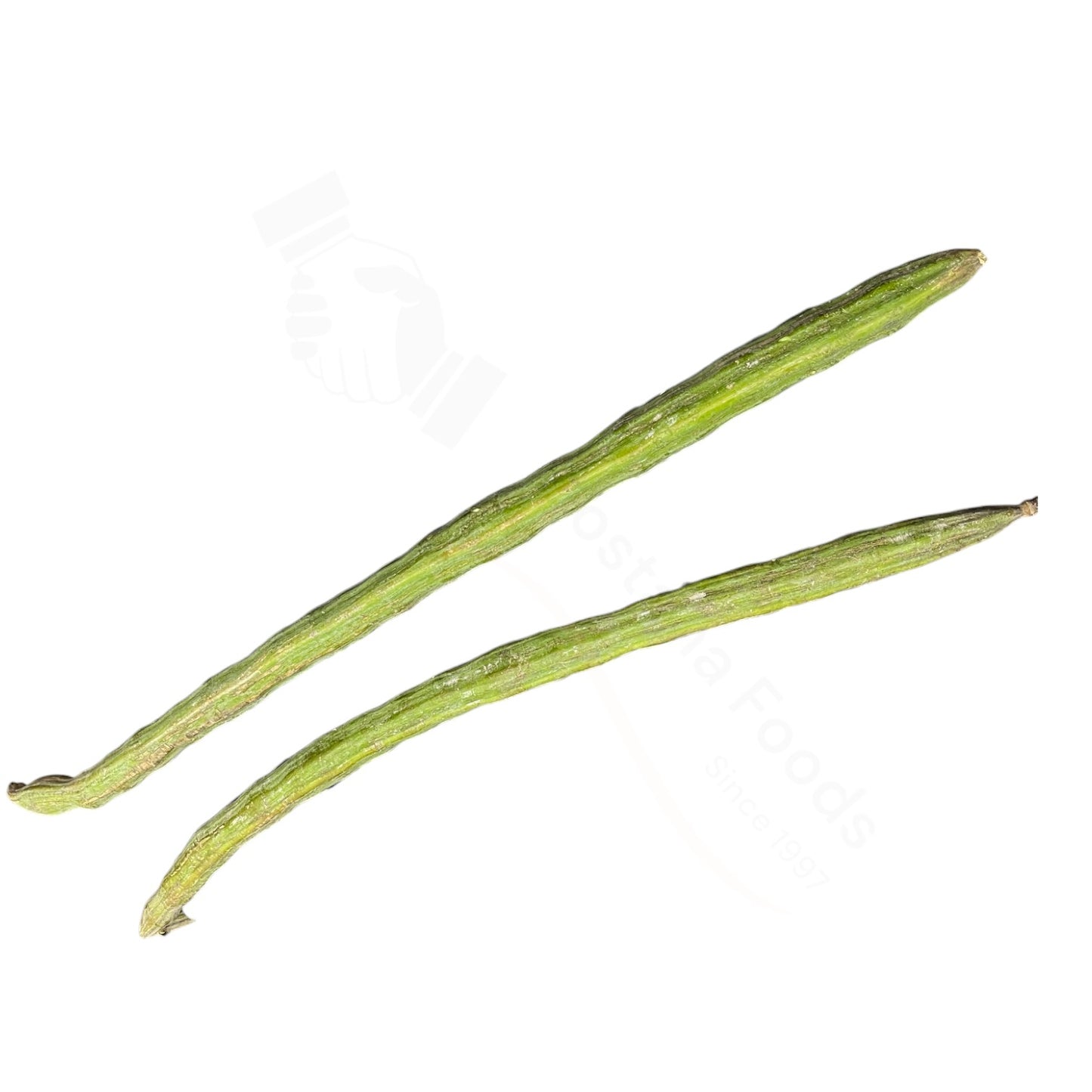 Fresh Drumstick / Sahjan – Moringaschote