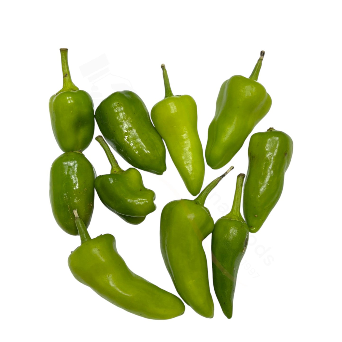 Fresh Bullet Chilli – Kleine scharfe Chilli (Bullet Chilli)