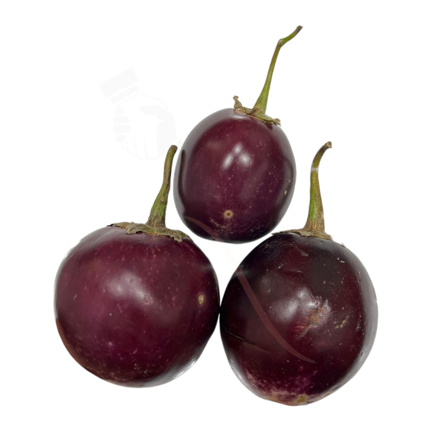 Fresh Baingan Chhota Gol – Small Round Purple Eggplant - Eggplants