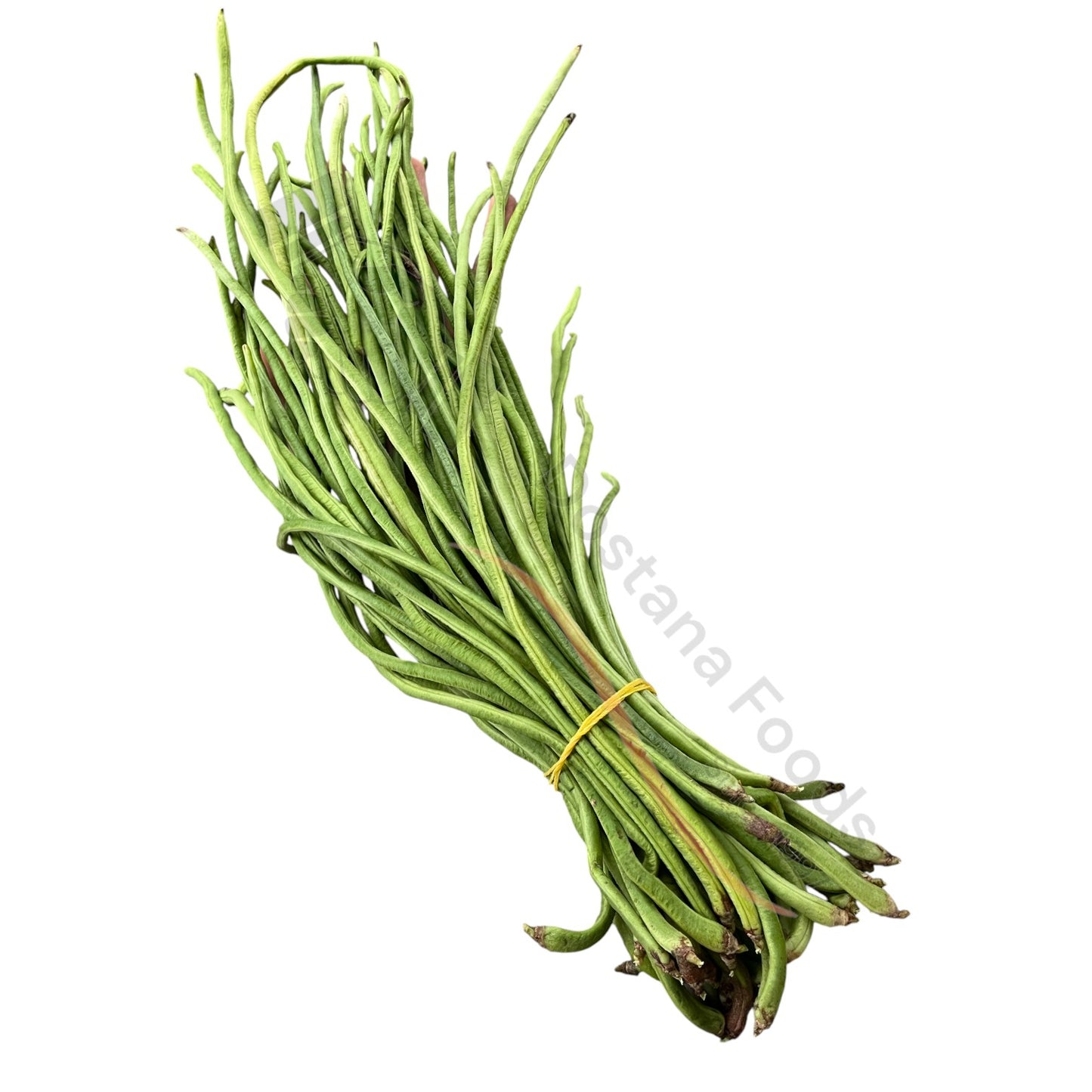 Fresh Hari Phali – Grüne Bohnen