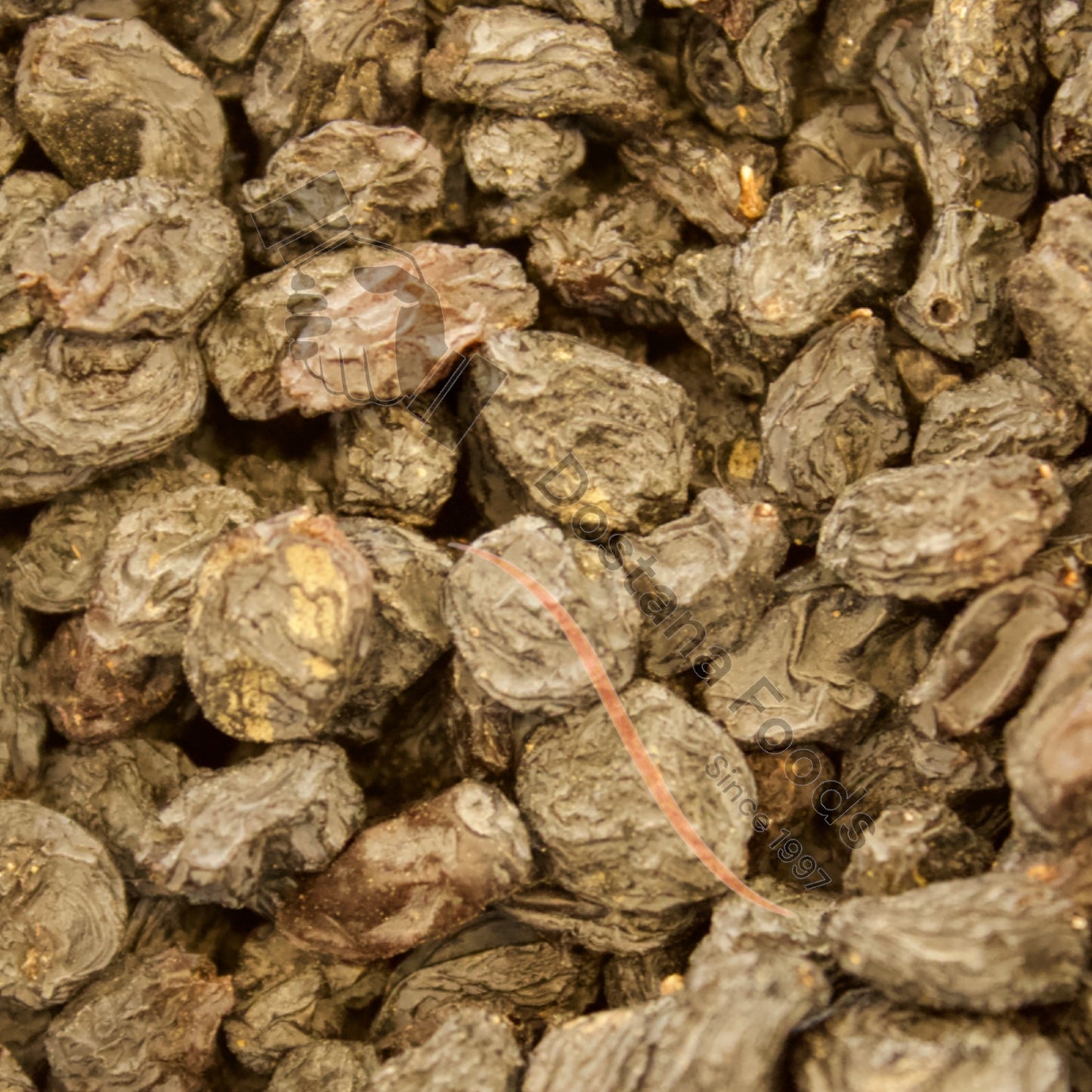 Schwarze Rosinen – Kali Kishmish Natur