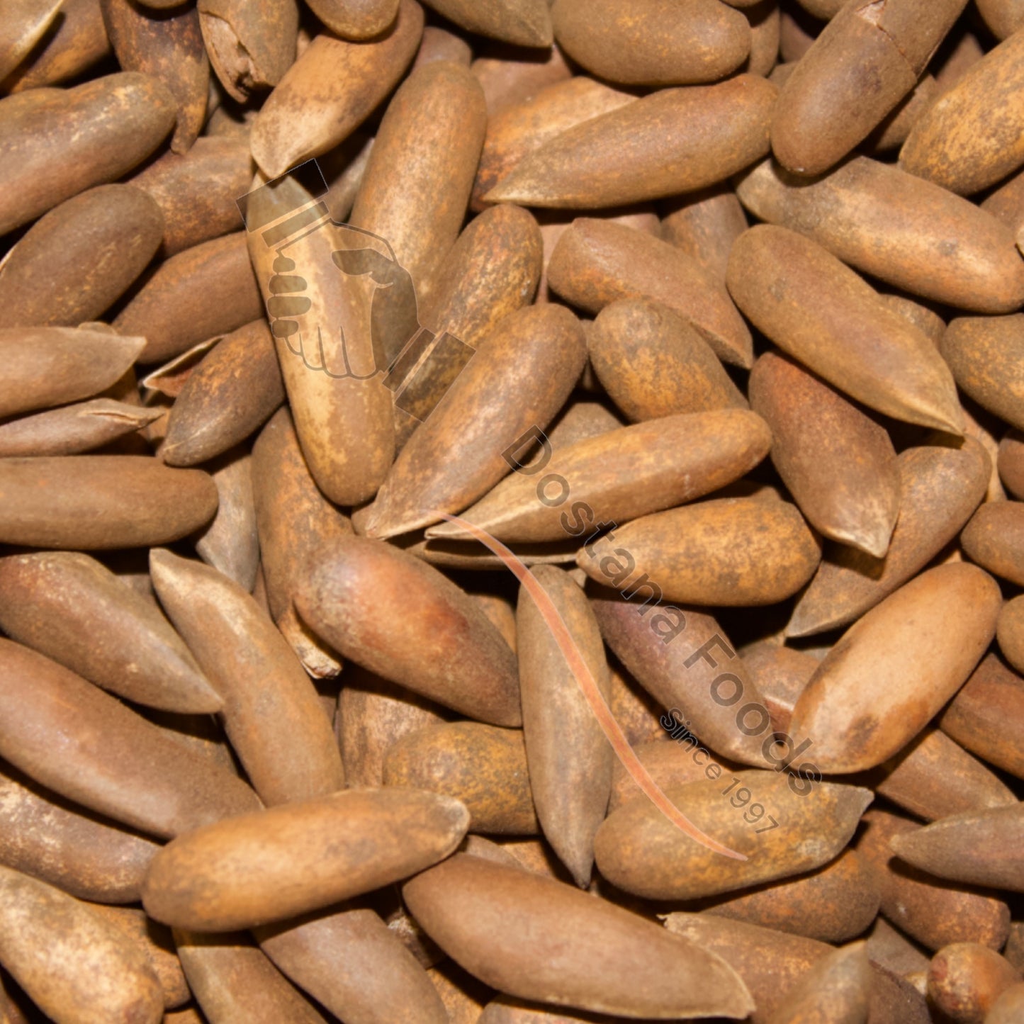 Pinienkerne – Chilgoza Natur