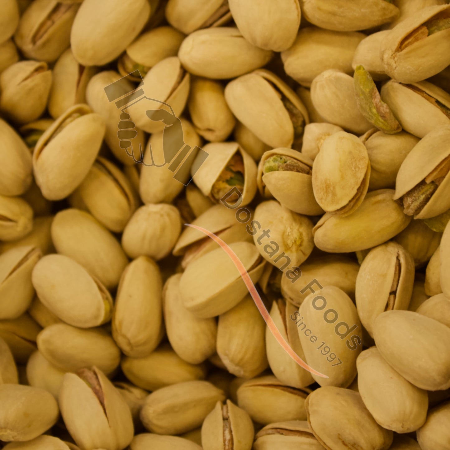 Pistazien groß – Badi Pista Natur