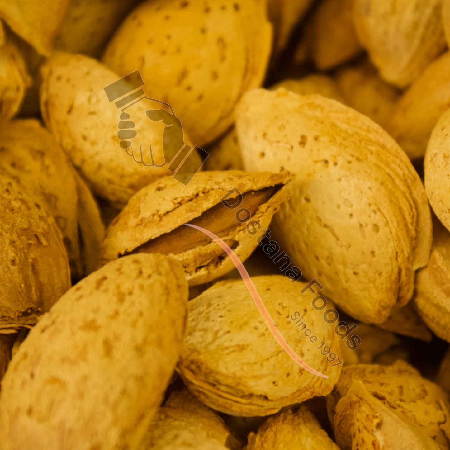 Mandeln mit Schale – Karasi Badam Natur