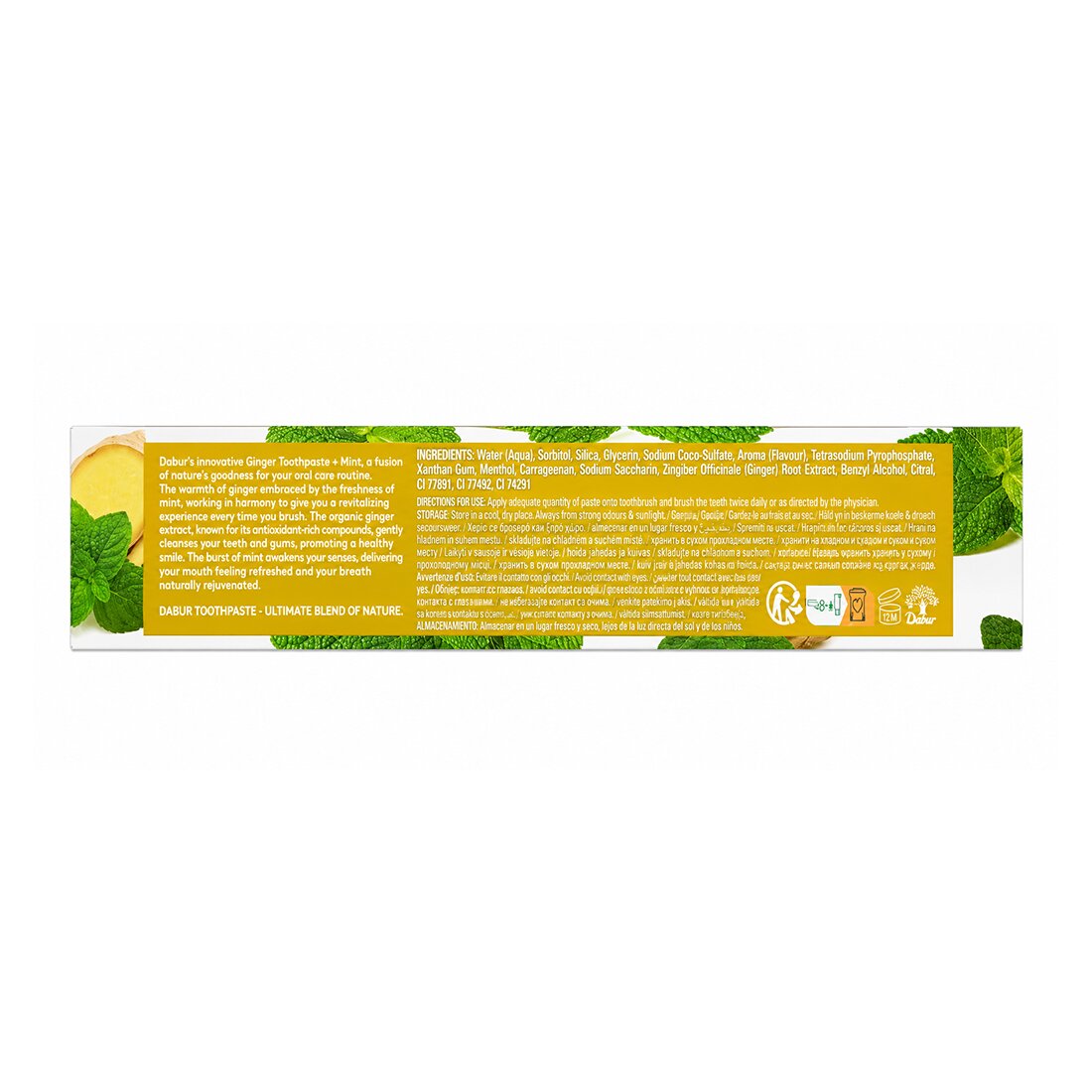 Toothpaste Healthy Gums + Fresh Breath Ginger + Mint Toothpaste
