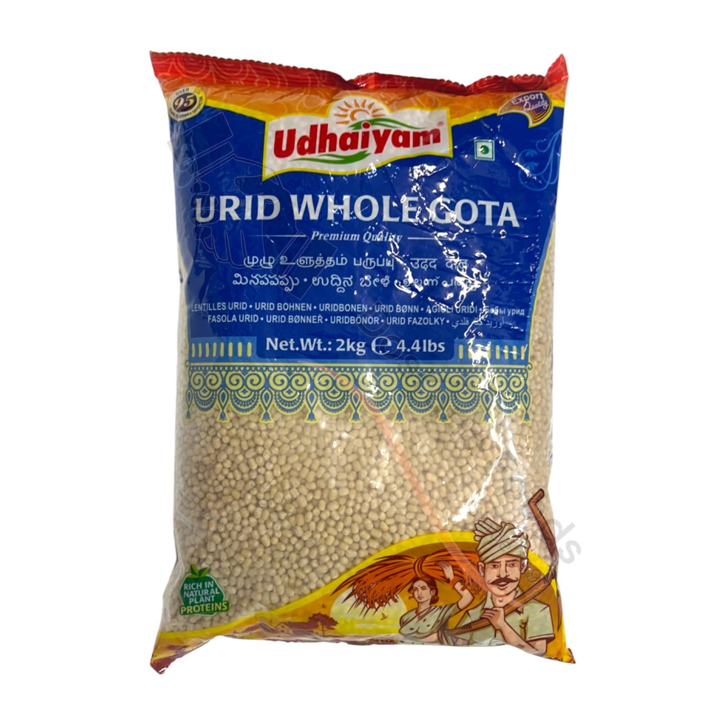 Urid Whole Gota - Sabut Urad Dal Gota