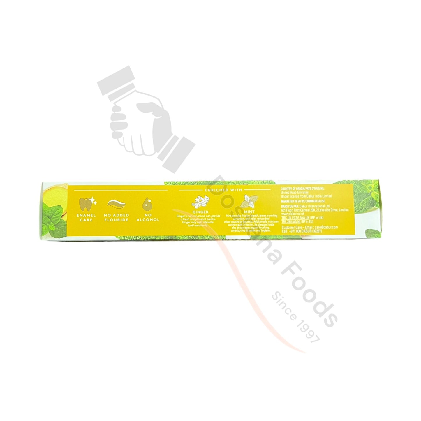 Toothpaste Healthy Gums + Fresh Breath Ginger + Mint Toothpaste