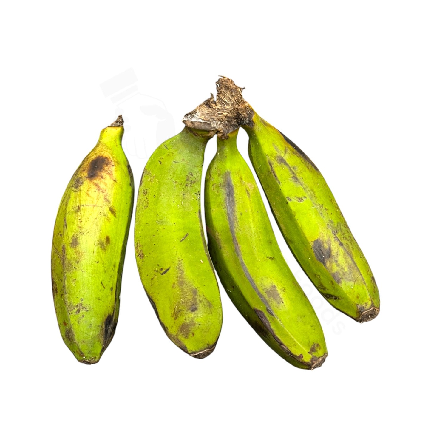 Fresh Kaccha Kela – Green Plantain