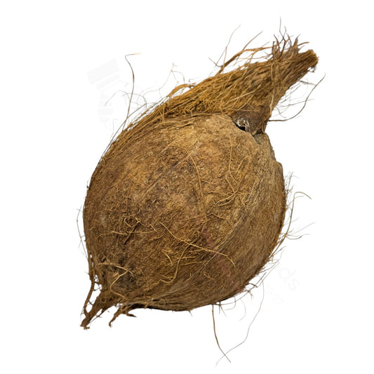 Fresh Nariyal – Kokosnuss