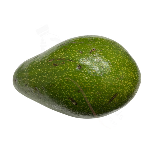 Fresh Avocado – Avocado