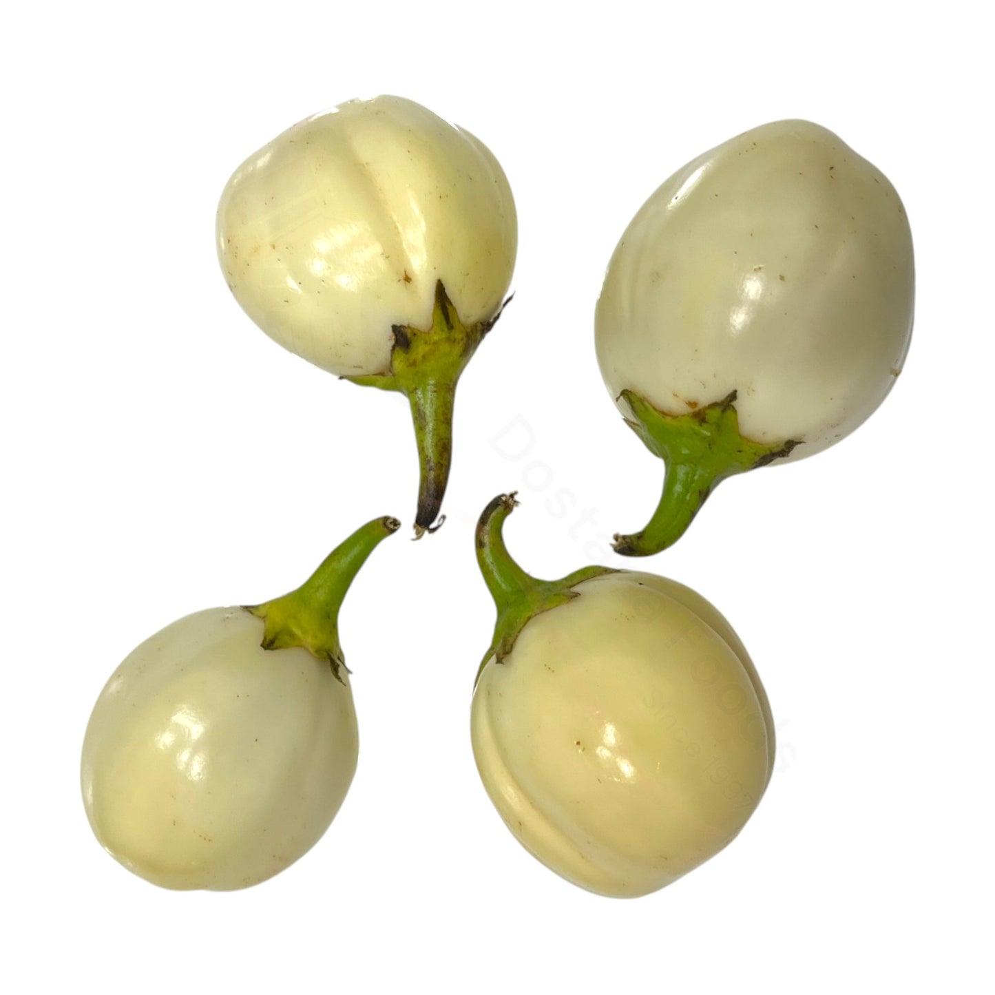 Fresh Safed Baingan Lamba – Kleine lange weiße Aubergine Eggplant