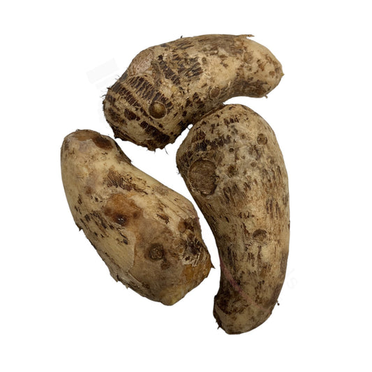 Fresh Arbi – Taro-Wurzel (Colocasia)