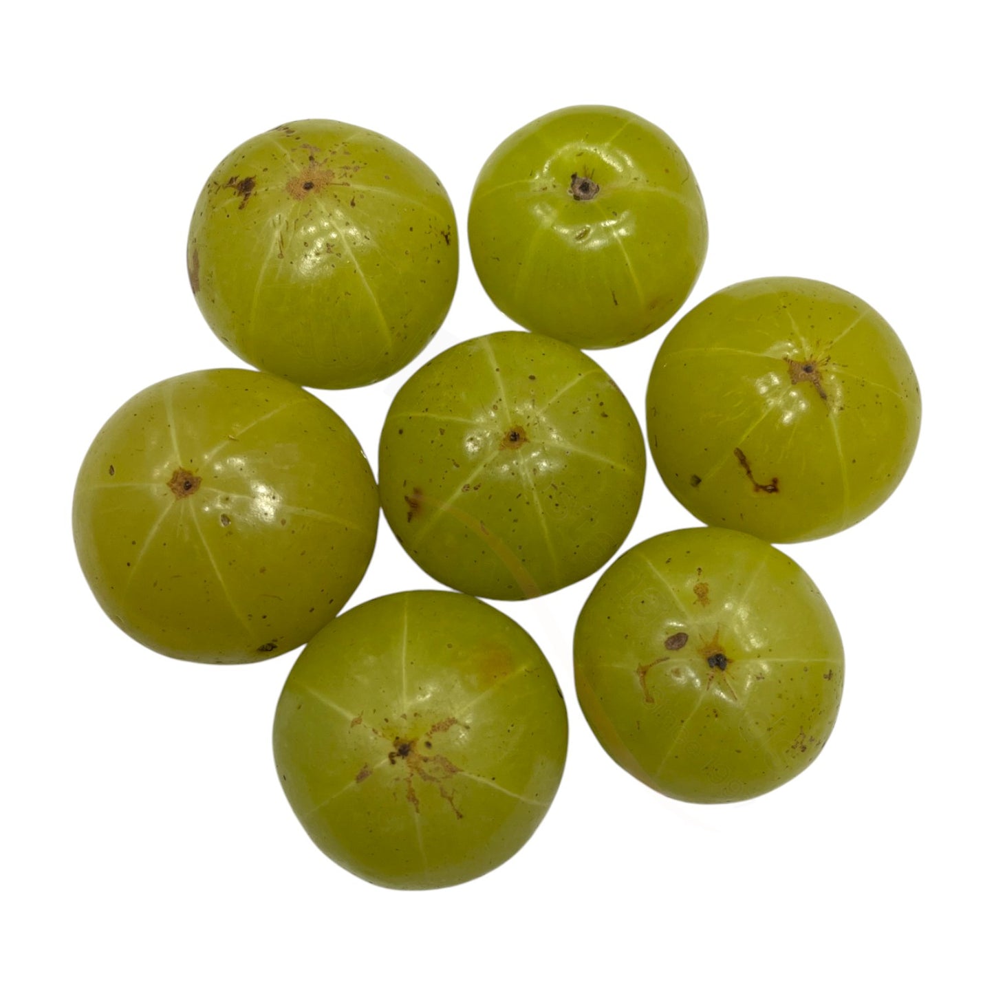 Fresh Amla – Indische Stachelbeere