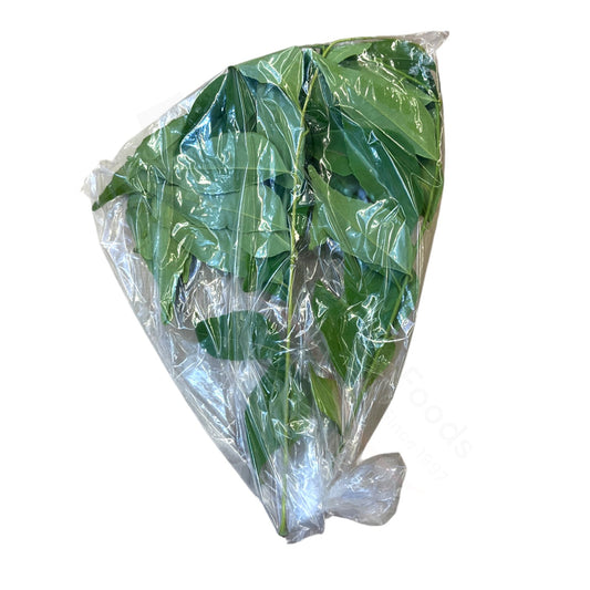 Fresh Curry Patta – Curryblätter