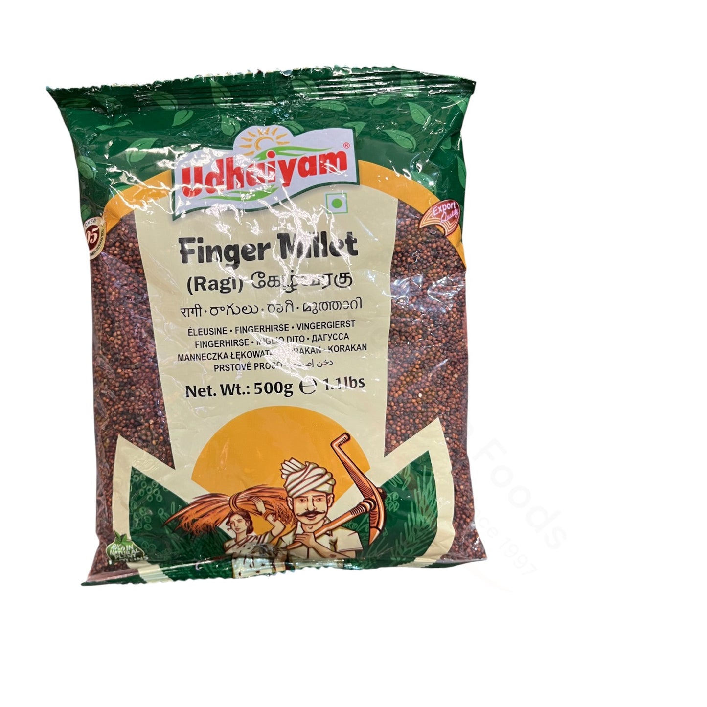 Great Millet - Ragi