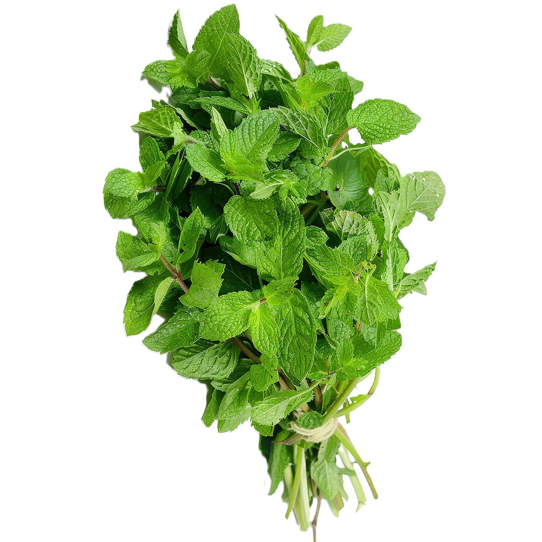Mint Leaves Online in Germany