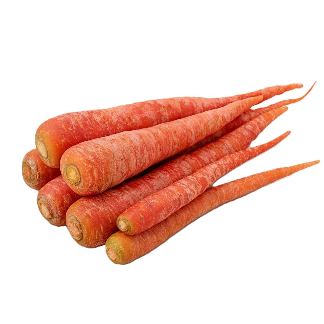 Fresh Gajar – Karotten
