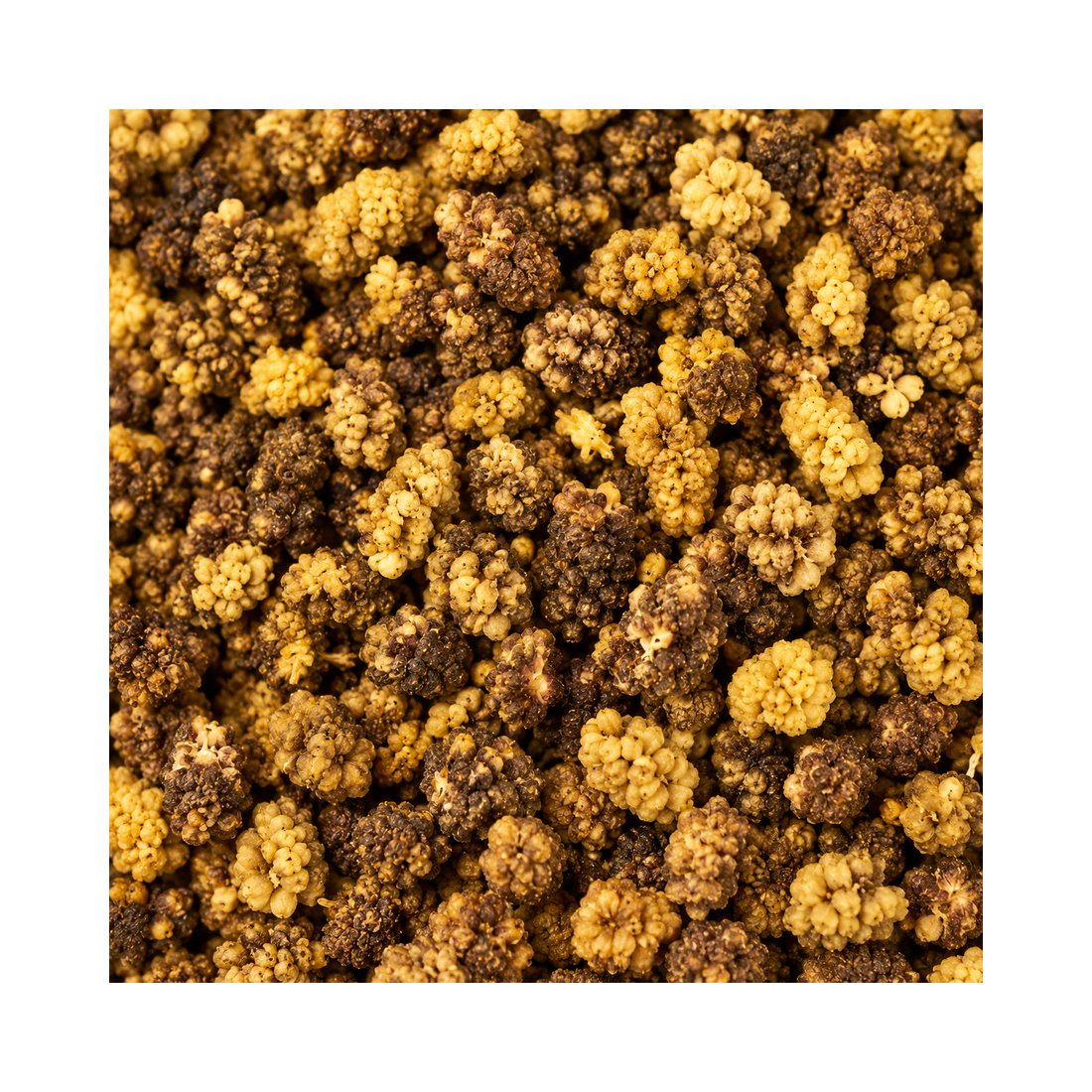 Maulbeeren dunkel – Kala Shahtoot Natur