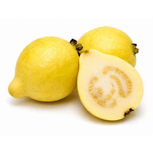 Fresh Badi Amrud – Large Guava