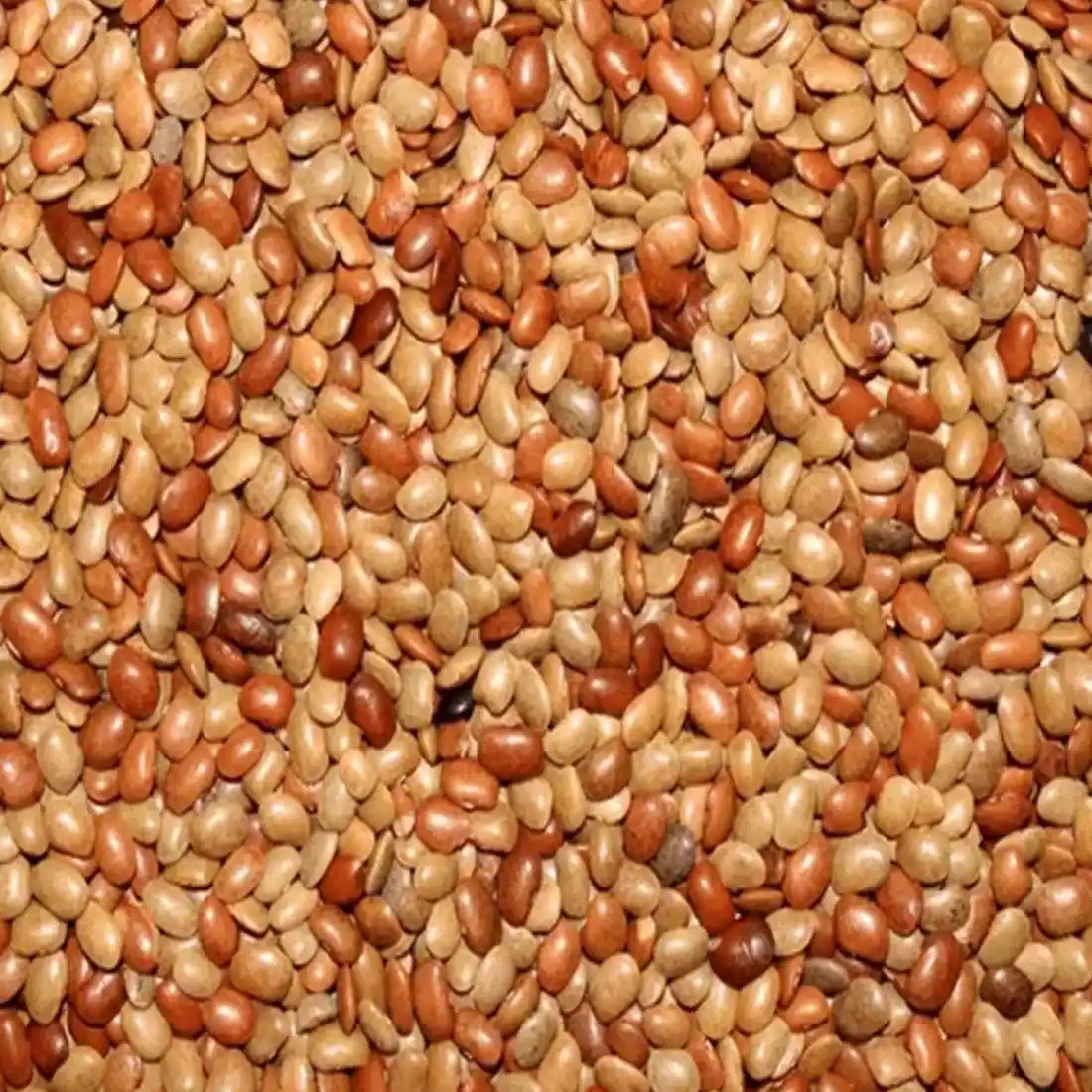 Global Herbs Horse Gram - Kulthi Dal