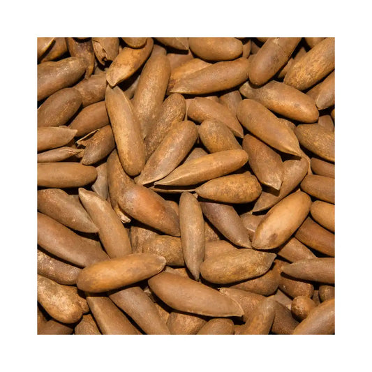 Pine nuts – Chilgoza