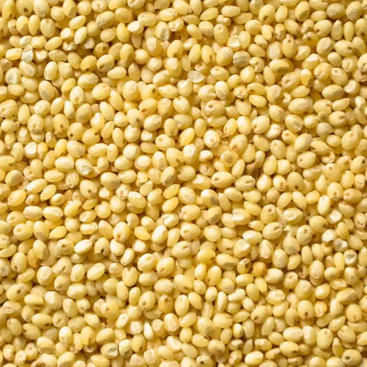 Proso Millet - Chena