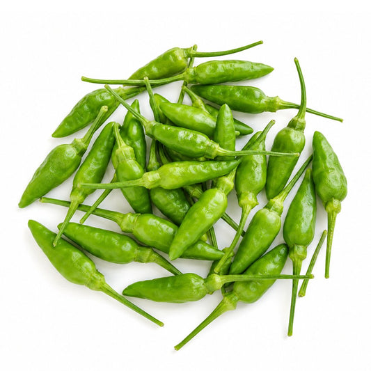 Fresh Bullet Chilli – Kleine scharfe Chilli (Bullet Chilli)