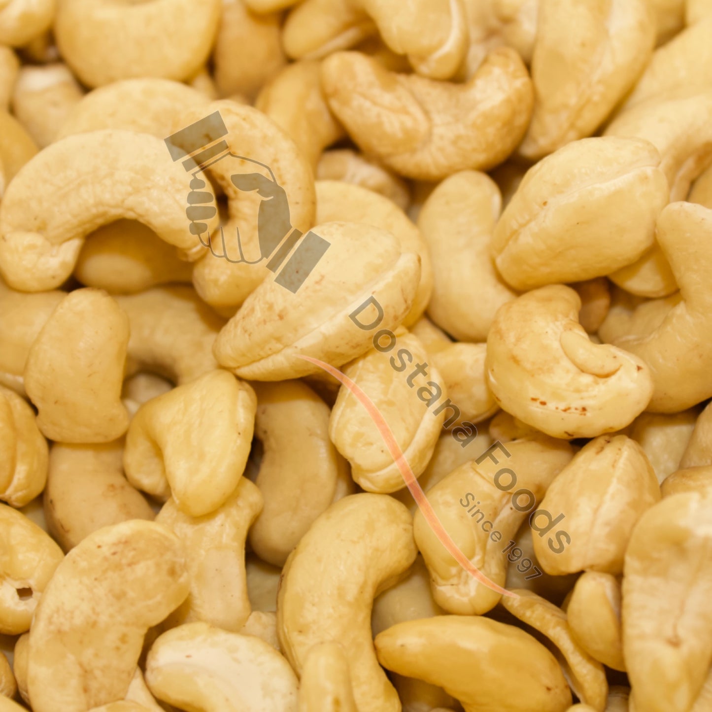 Cashew – Kaju Natur
