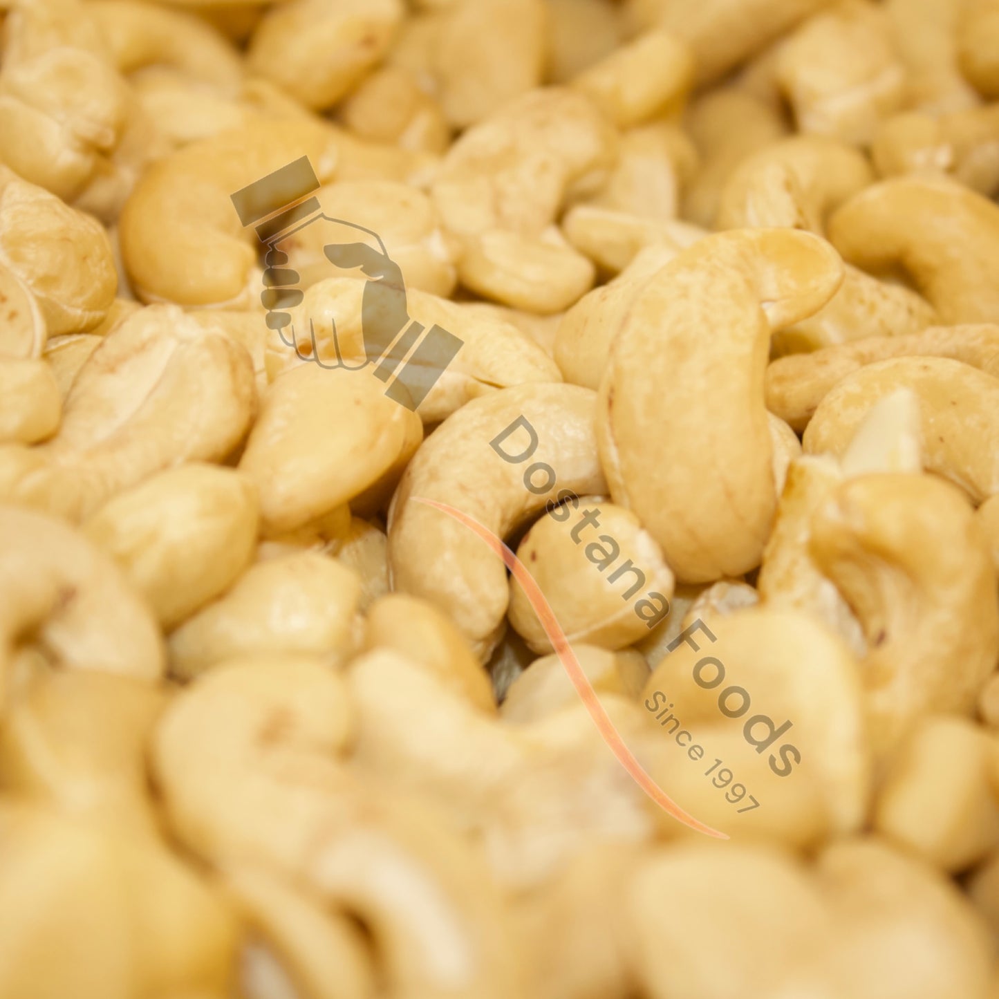 Cashew – Kaju Natur