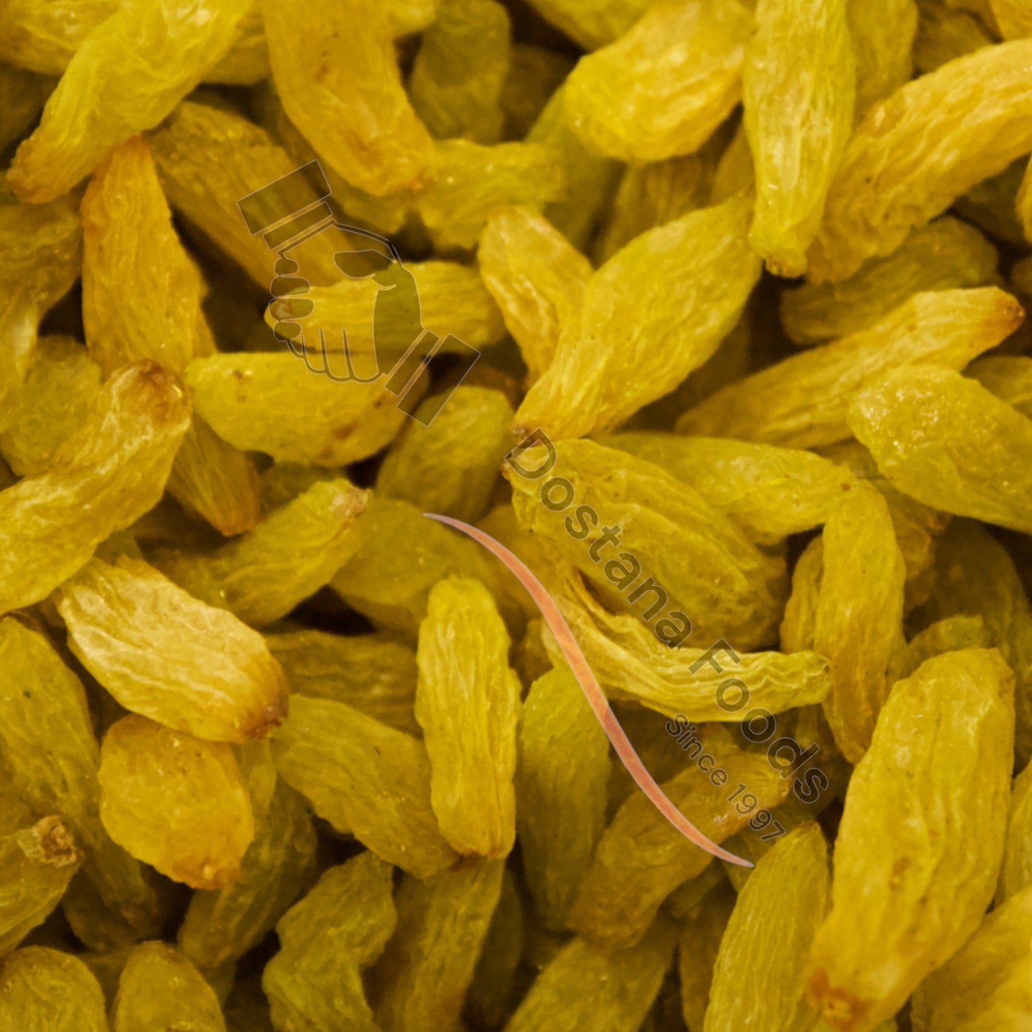 Grüne Rosinen – Hari Kishmish Natur