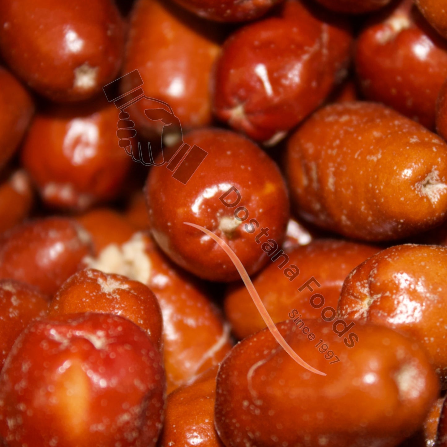 Mehlbeeren – Jangli Ber Natur